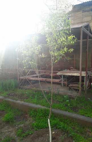 Բնակարան Բագրատունյաց պողոտայում 4-սենյակ