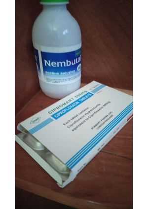 Buy Nembutal, Adderall, Ketamine ( WhatsApp: +33605811506 )