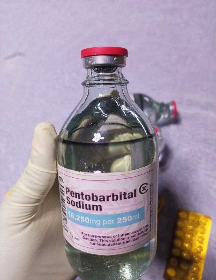 Buy ketamine, Nembutal, Adderall Online ( WhatsApp: +33605687109 )