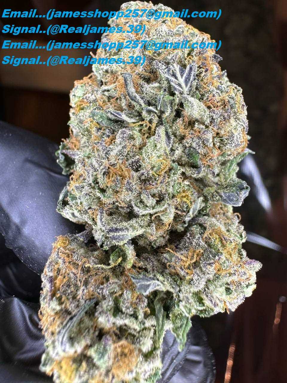 Signal::+(34)607218704) Where can I buy COKE,AHROOMS,THC vape Weed CBD OIL pens near me in Columbia,Columbus, United States Canada United Kingdom Australia Spain Italy France Germany