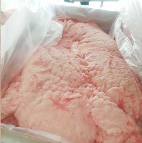 HALAL LAMB TAIL FAT FOR SALE 