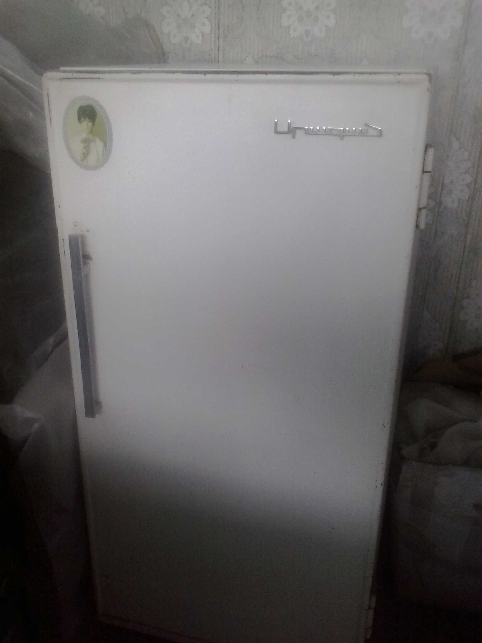 Холодильник "Арагац"