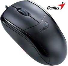 Mouse Genius NetScroll 120 USB
