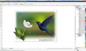 CorelDraw դասընթացներ