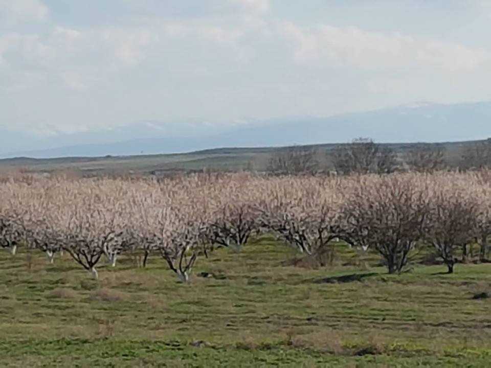 4հ. հողատարածք Արագածավանում