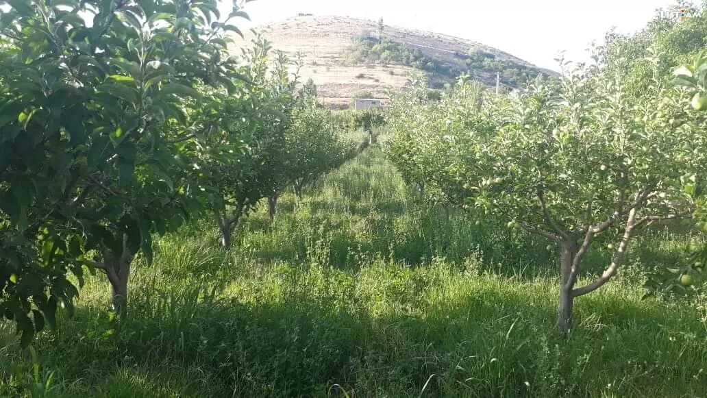 Land for sale, Земельный участок на продажу, Վաճառվում է հողատարածք