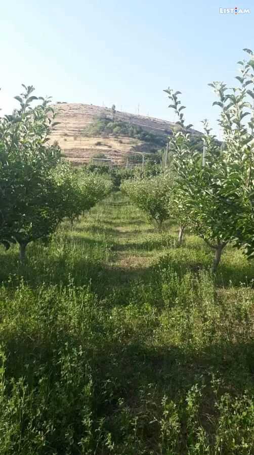 Land for sale, Земельный участок на продажу, Վաճառվում է հողատարածք