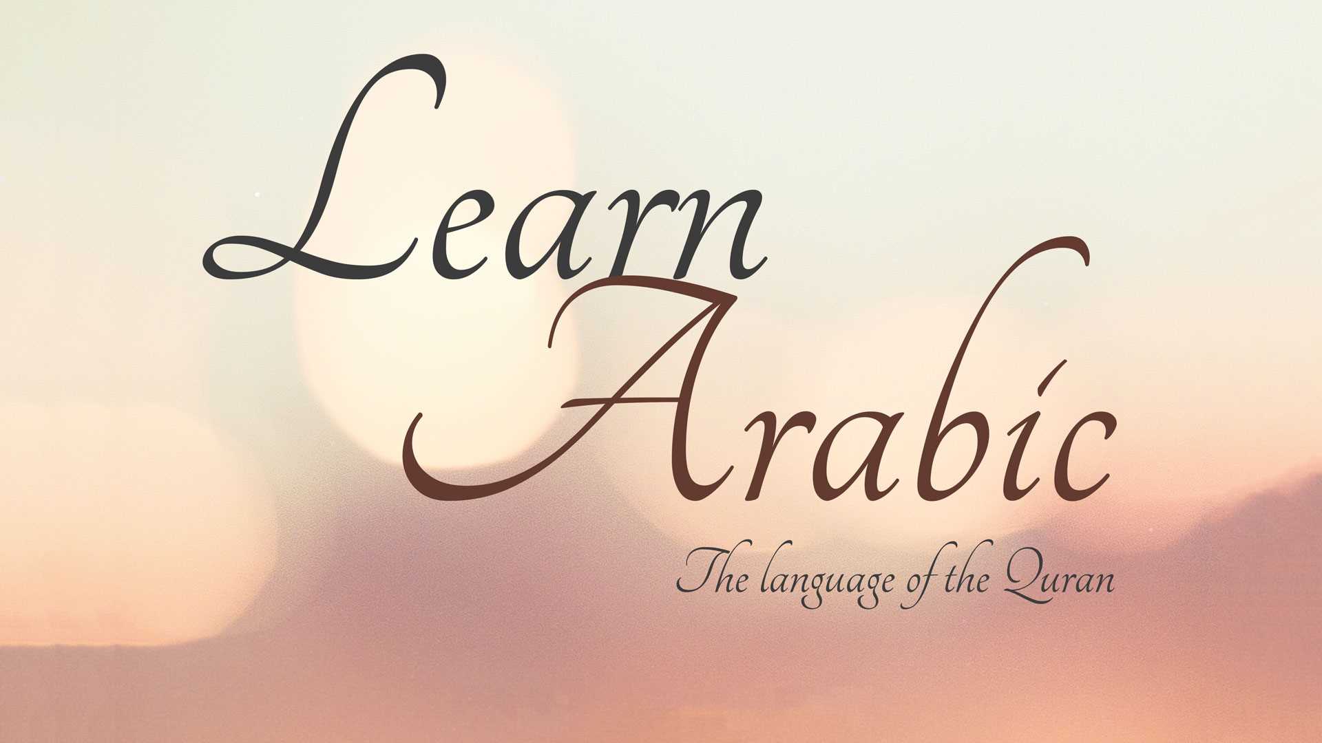 Արաբերեն լեզվի դասընթացներ