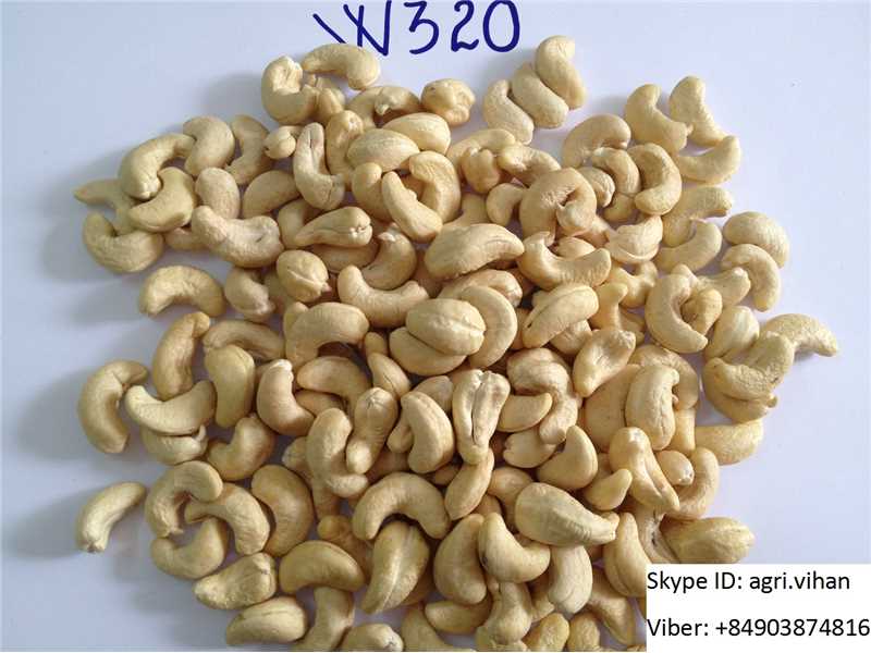 Vietnamese Cashew Nut Kernels WW240, WW320