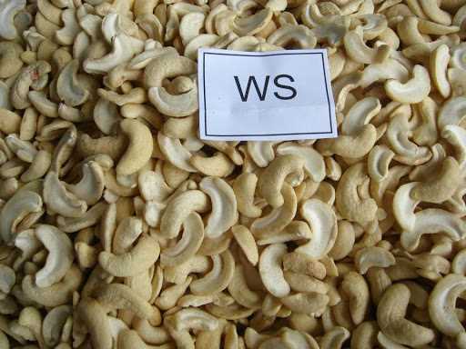 Vietnamese Cashew Nut Kernels WS, LP