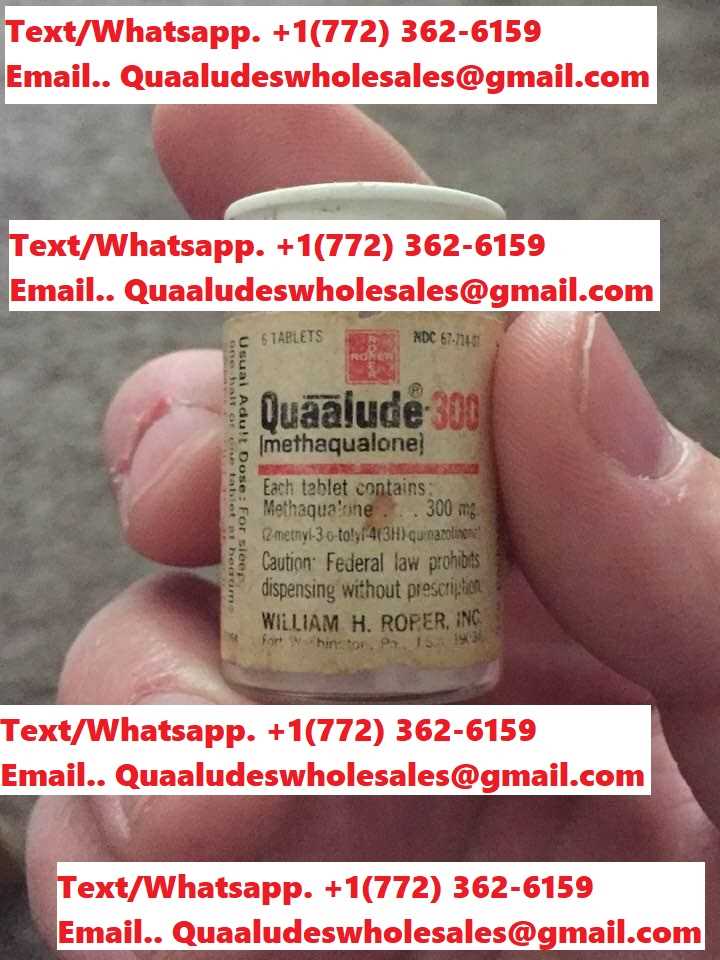 Order Quaaludes 300mg Overnight.+1(803) 216 5427