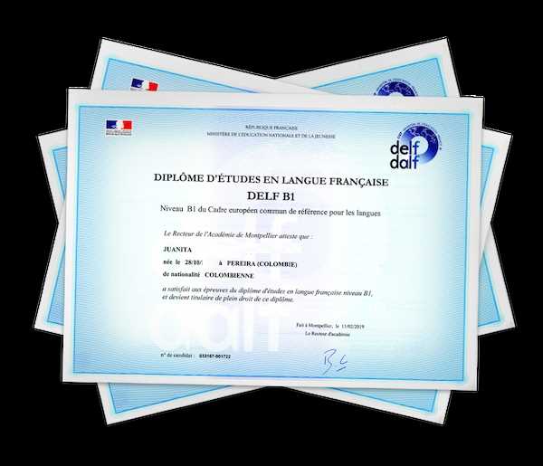 WhatsApp +31 6 87546855 Buy valid DALF, DELF, TCF, TEF, TORFL French language certifications