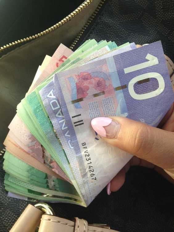 Produce  Passports,Drivers Licenses,ID Cards,Birth Certificates,Diplomas,Visas,SSN,