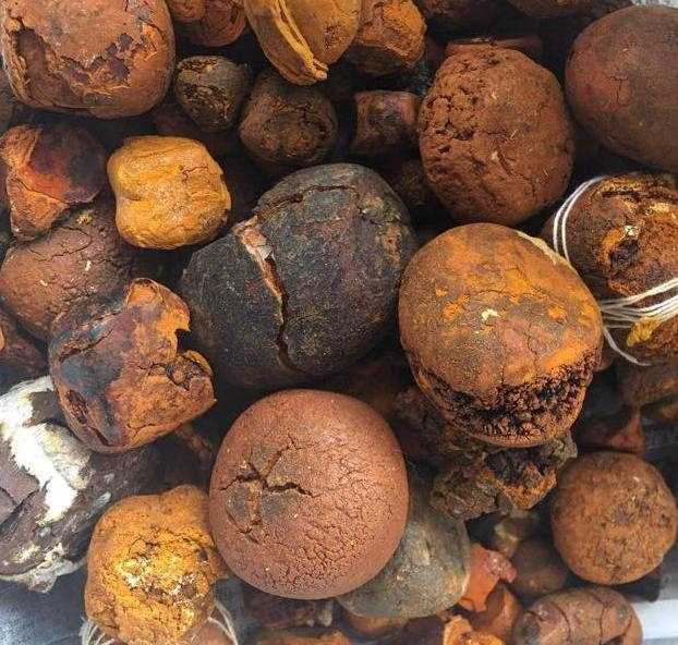   Buy cow /Ox Gallstone Available On Stock Now @ (WhatsApp: +237673528224)