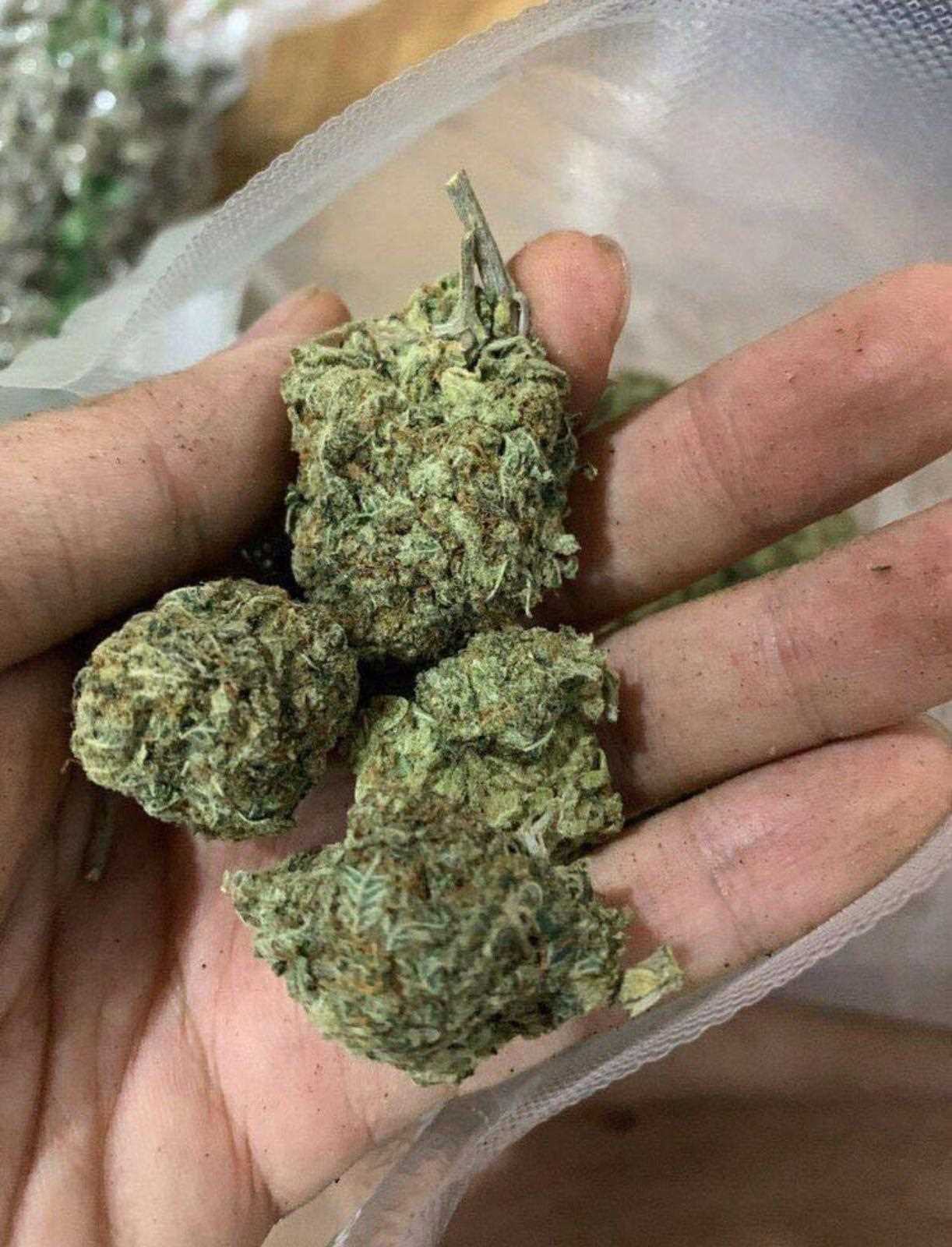 WhatsApp +12253024741 Buy weed in Dubai Buy weed in Abu Dhabi 