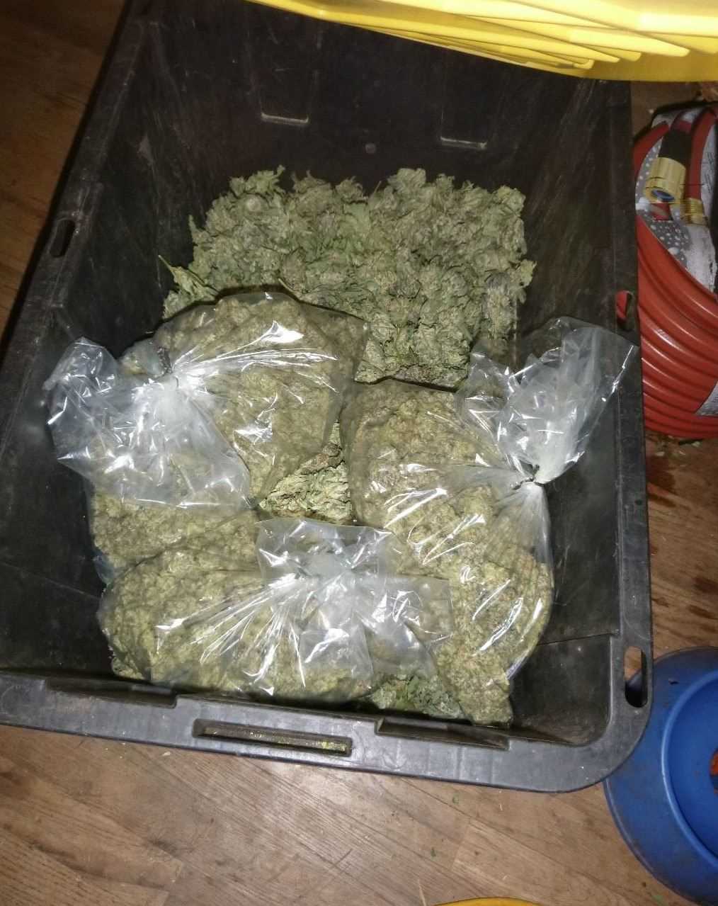 WhatsApp +12253024741 Buy weed in Dubai Buy weed in Abu Dhabi 