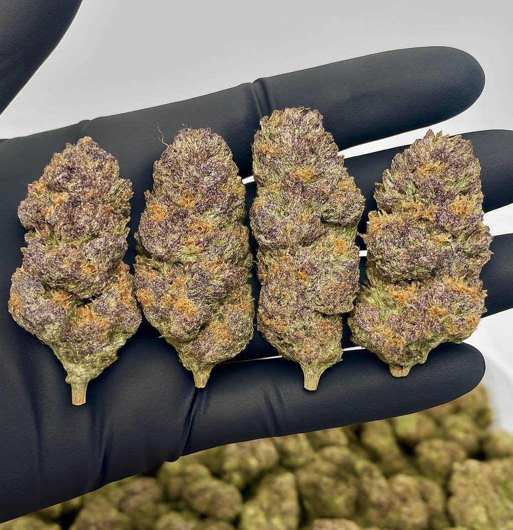 Buy Bulk PSYCHEDELIC,MDMA,CRYSTAL METH,DMT Carts,Researched Chemicals WhatsApp:1(215)-824-5074
