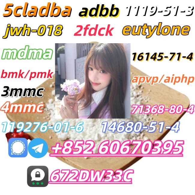 Safe delivery CAS 119276-01-6 China Factory