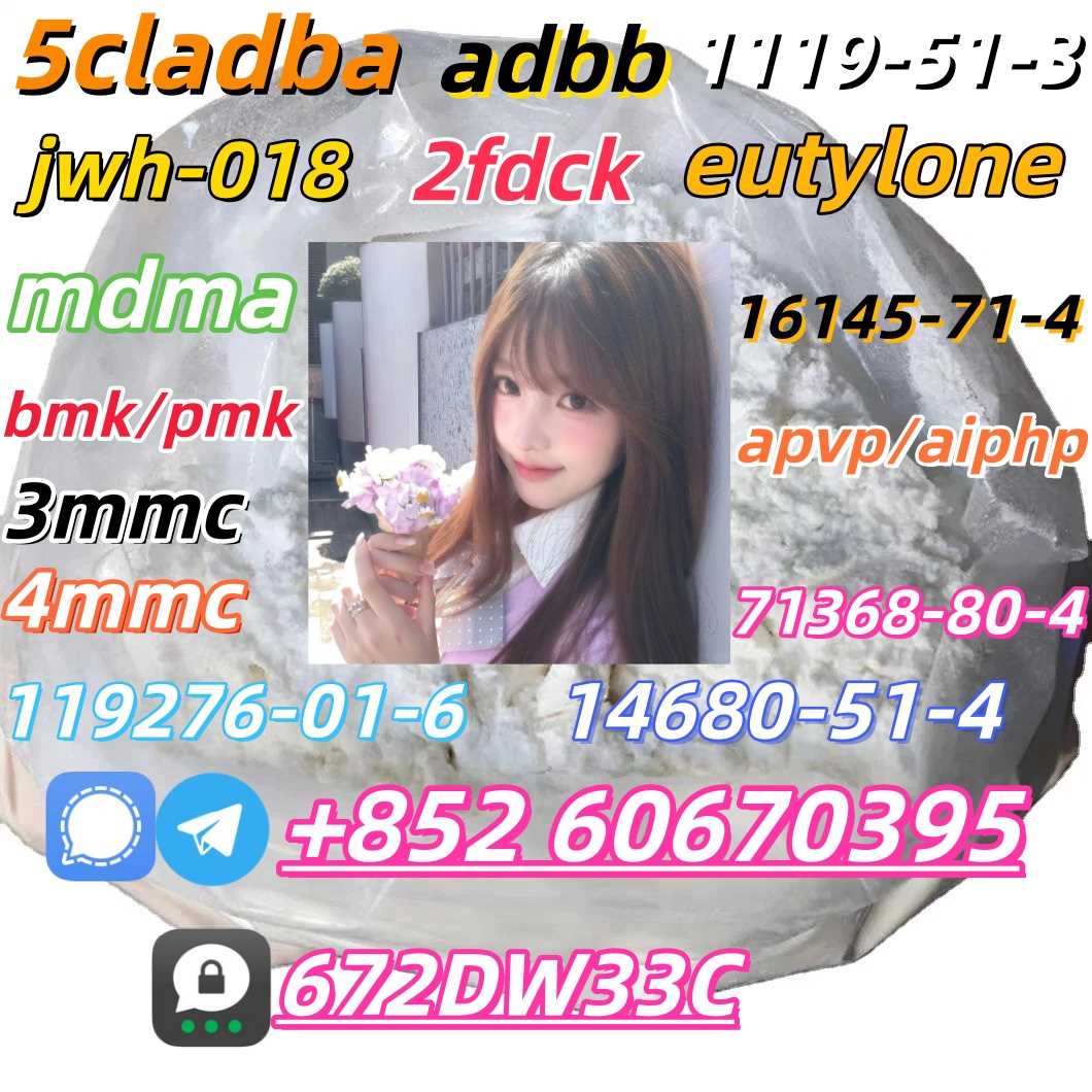 Safe delivery CAS 119276-01-6 China Factory