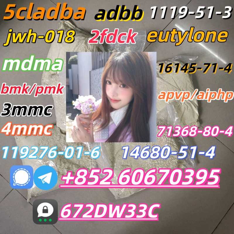 Safe delivery CAS 119276-01-6 China Factory