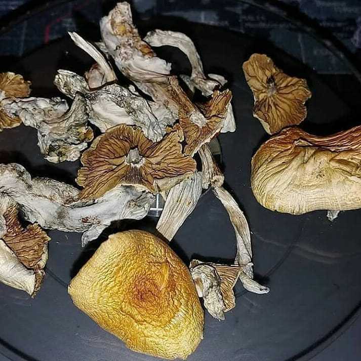 Signal::+(34)607218704) Buy Bulk GHB/GBL/PSYCHEDELIC,COKE,WEED, MDMA, CRYSTAL METH, DMT Carts, Researched Chemicals, Buy Bulk PSYCHEDELIC, MDMA, CRYSTAL METH, DMT Carts, LSD, METH, THC Vape, CBD, Marijuana/Cannabis, Xanax, Molly, Weed, OXY, Crystal Ketamine, Ecstasy, Researched Chemicals, Magic mushroom, Adderall, Hash, Wax, Edibles, Pre-rolls, online