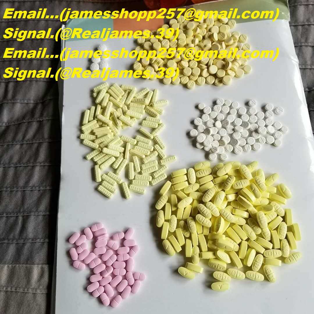 Signal::+(34)607218704) Buy Bulk GHB/GBL/PSYCHEDELIC,COKE,WEED, MDMA, CRYSTAL METH, DMT Carts, Researched Chemicals, Buy Bulk PSYCHEDELIC, MDMA, CRYSTAL METH, DMT Carts, LSD, METH, THC Vape, CBD, Marijuana/Cannabis, Xanax, Molly, Weed, OXY, Crystal Ketamine, Ecstasy, Researched Chemicals, Magic mushroom, Adderall, Hash, Wax, Edibles, Pre-rolls, online