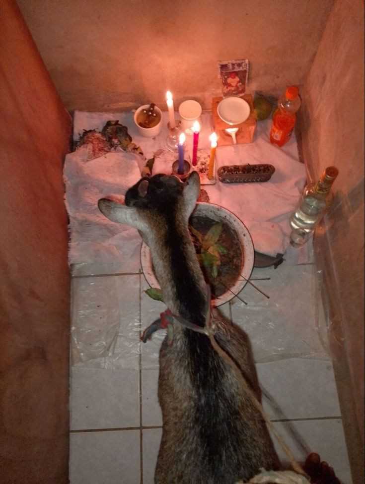 +2348129077737 i want to join occult for money ritual without human blood 