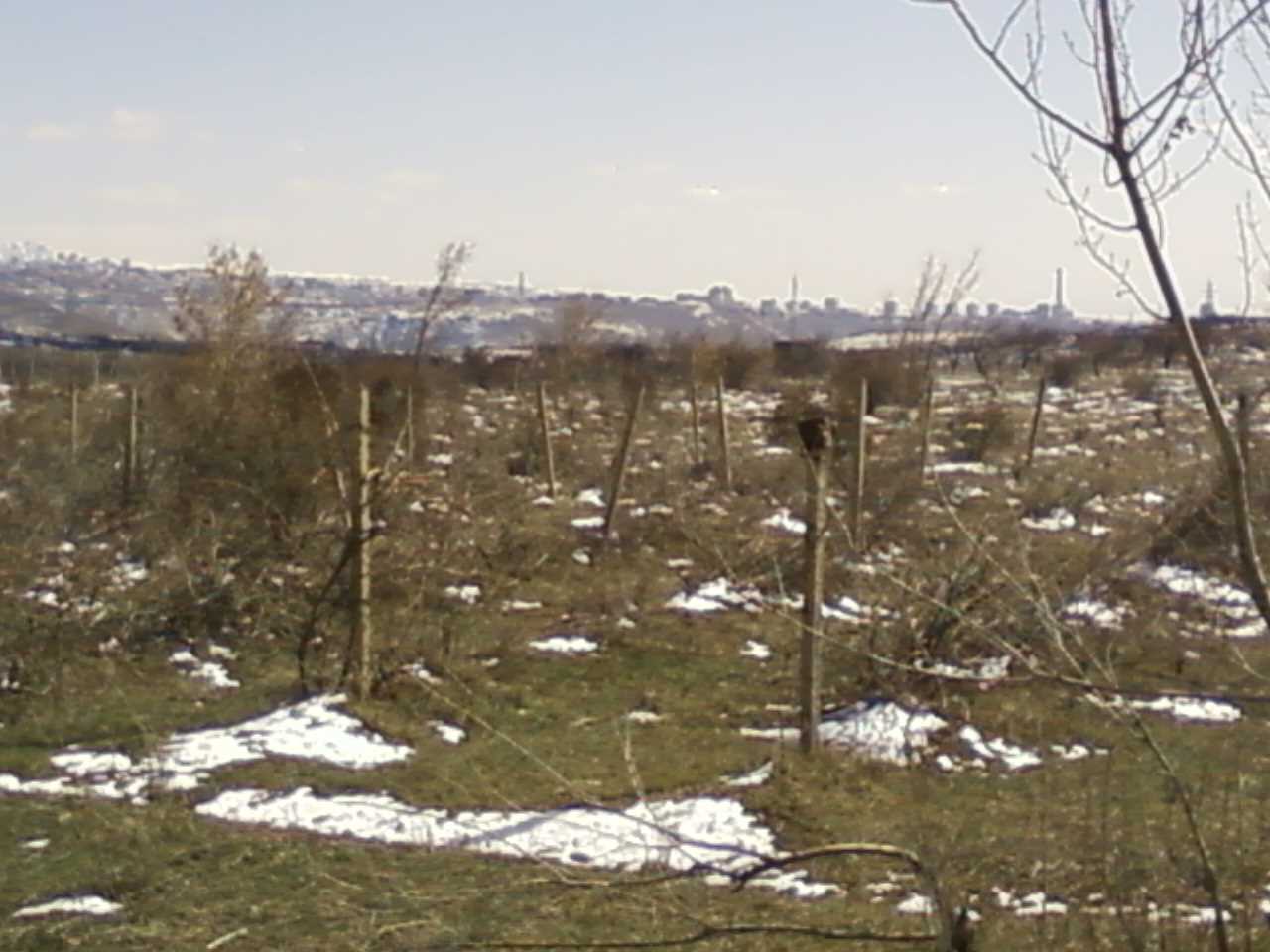 Զովունի  հող  փակովի